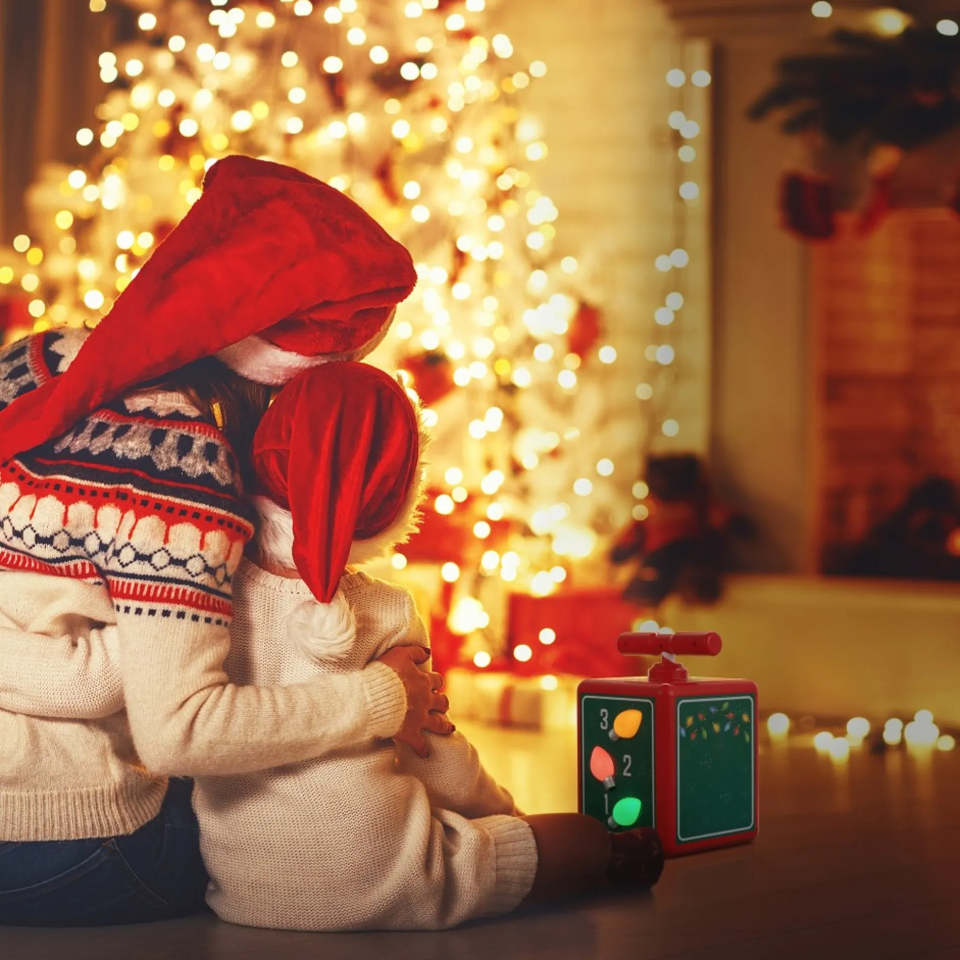 tree_lighting_ceremony_light_controller_1.webp Store Mr. Christmas Tree Lighting Ceremony Light Controller